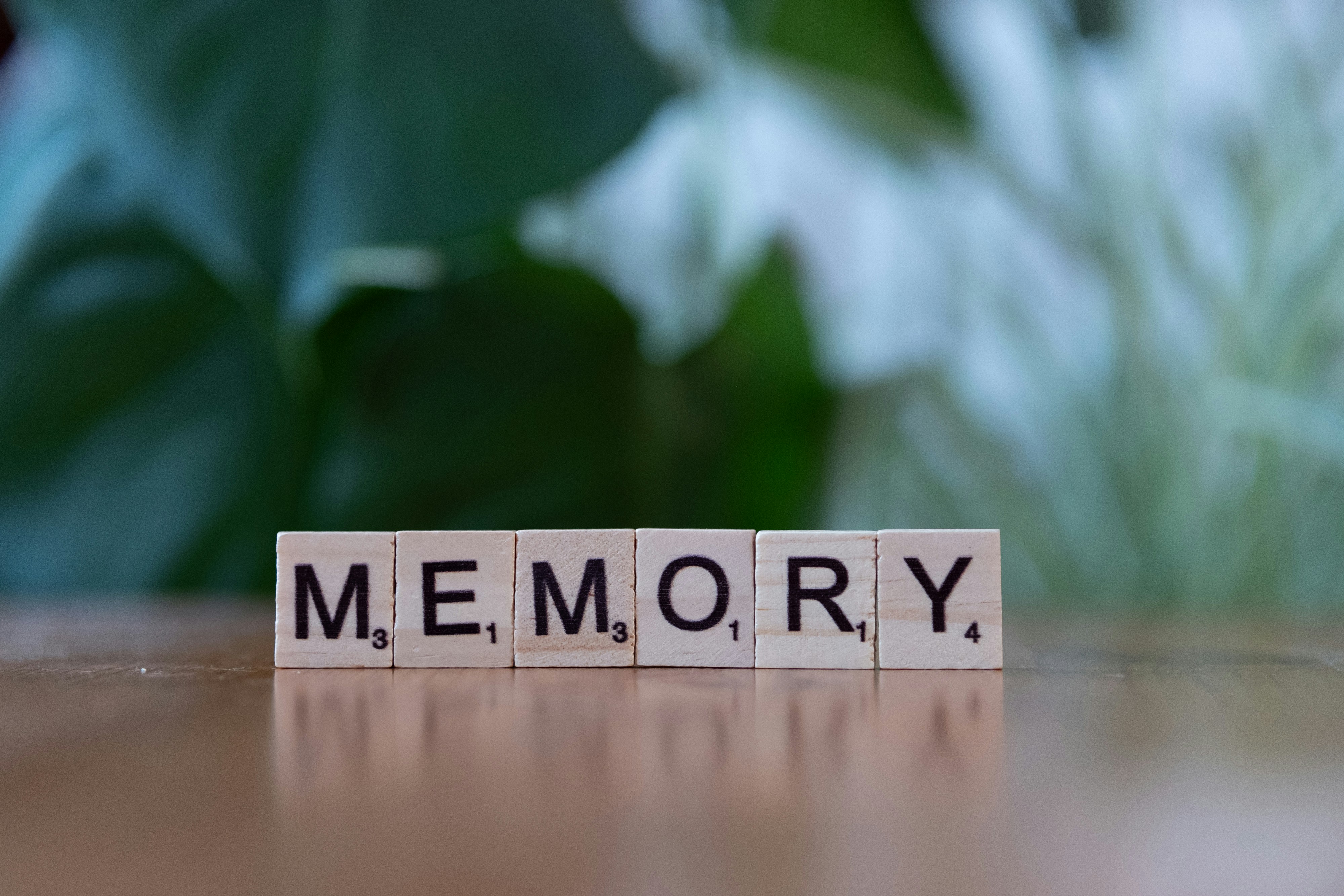 The Institutional Memory Problem Nobody Admits They Have